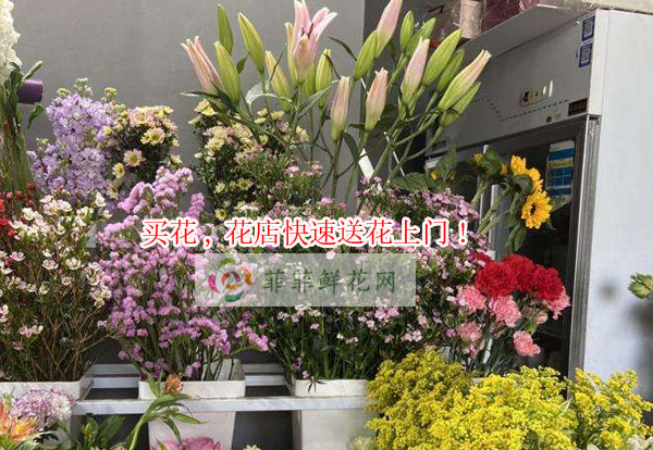沧州泊头市买花,沧州泊头市花店快速送花上门!