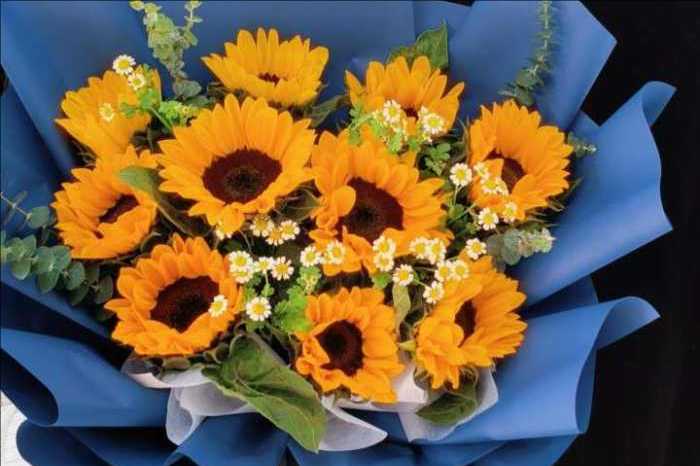 ���ݲ�ͷ�л���